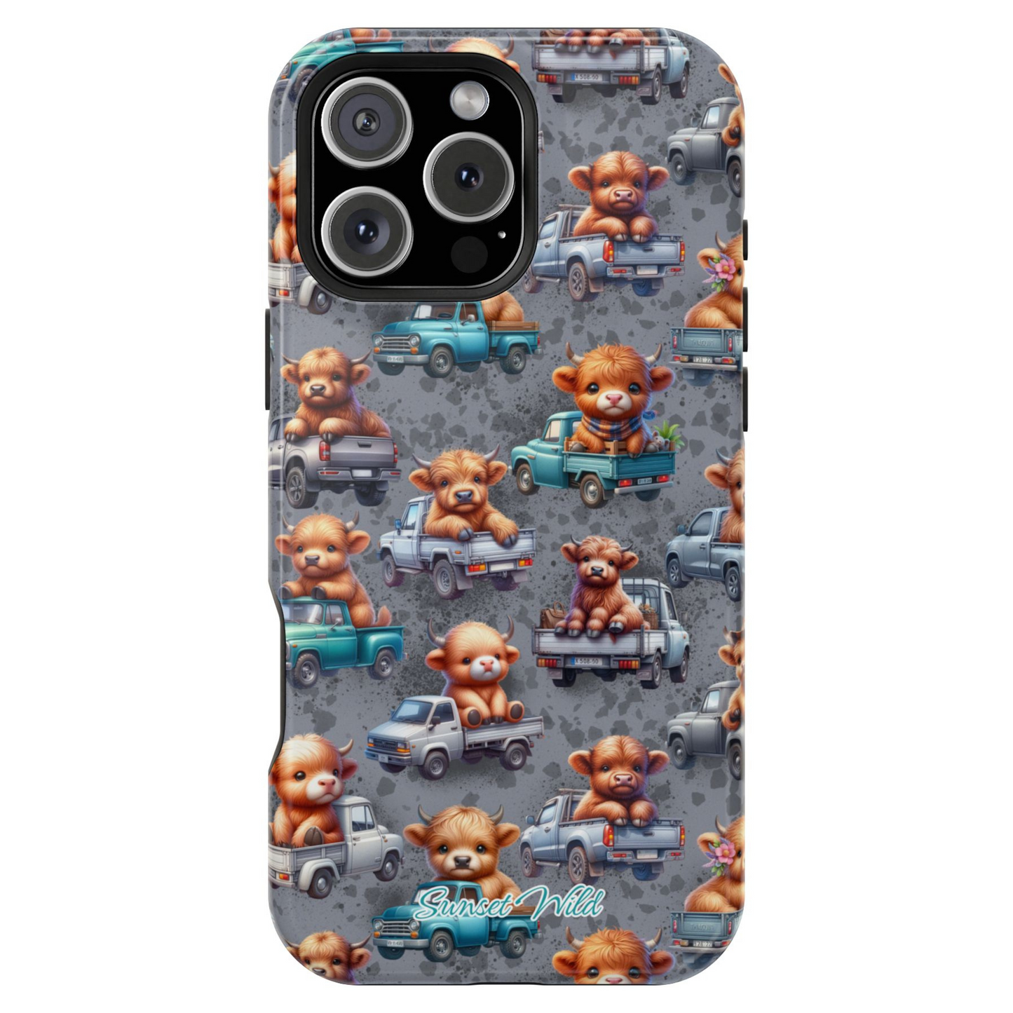 Backroad Babes Phone Case