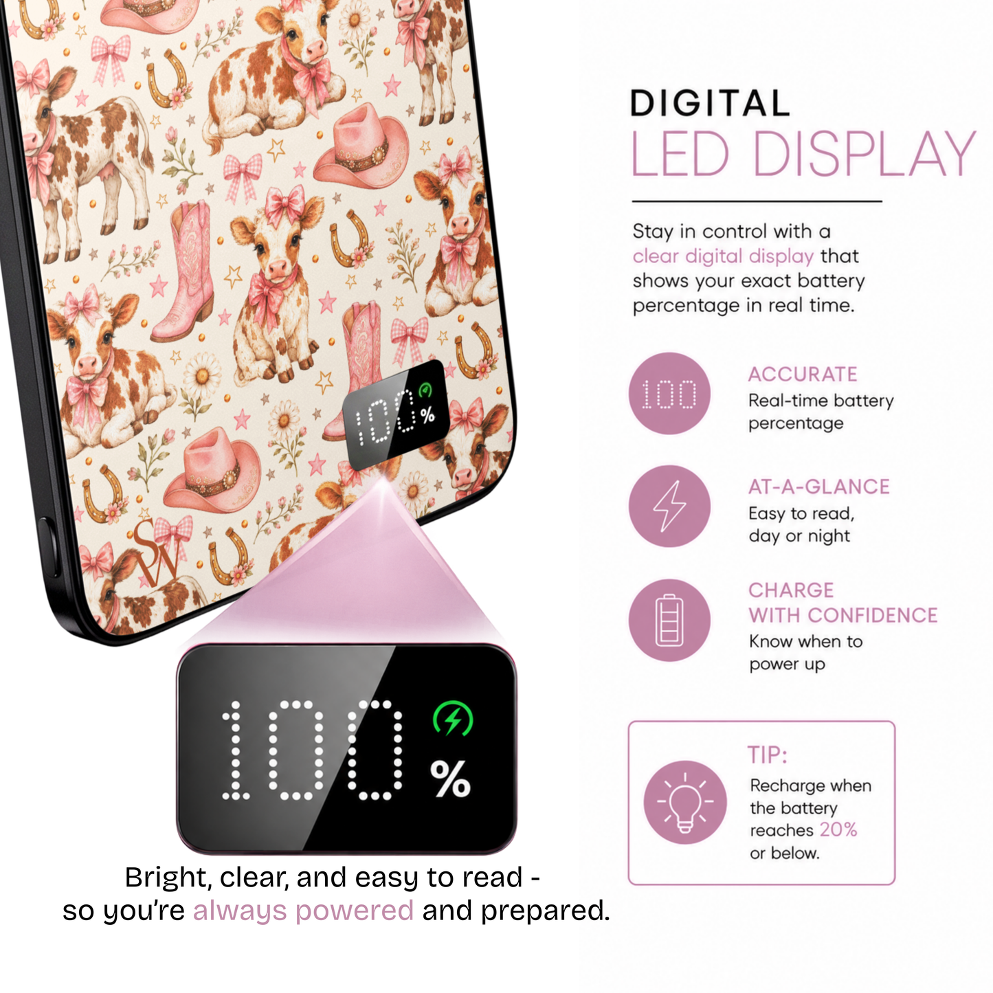 Dolly's Ranch Power Bank
