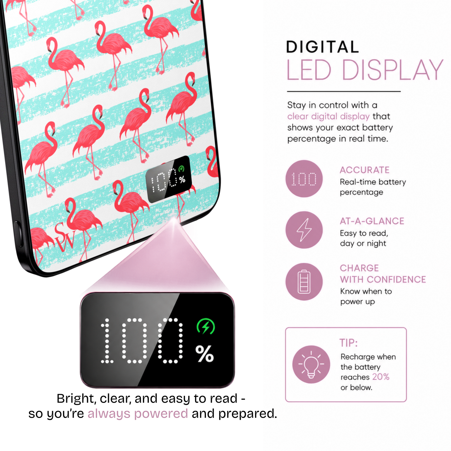 Flamingo Craze Power Bank