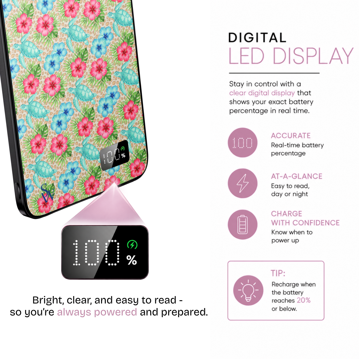 Turtle Tropics Power Bank
