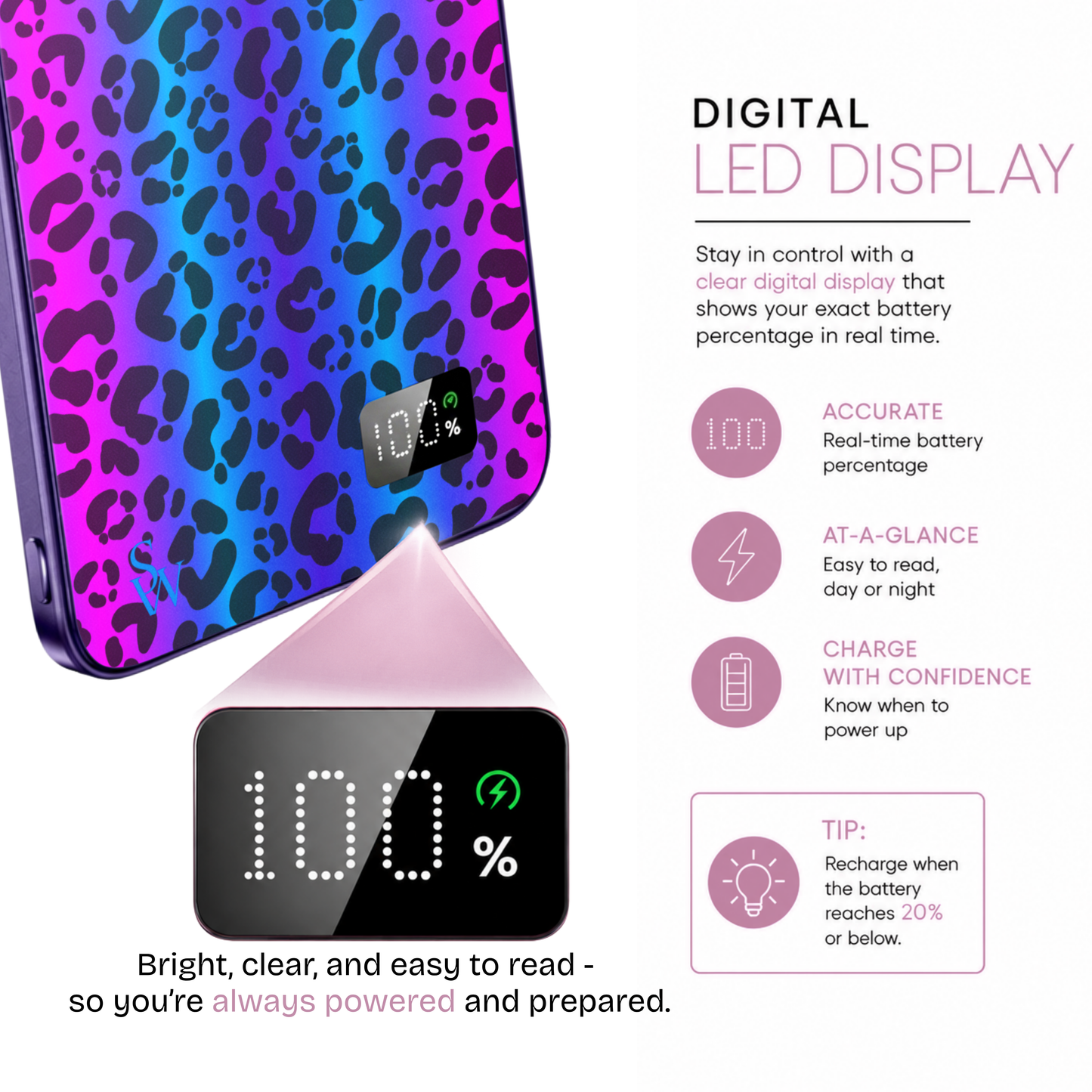 Electric Leopard Power Bank
