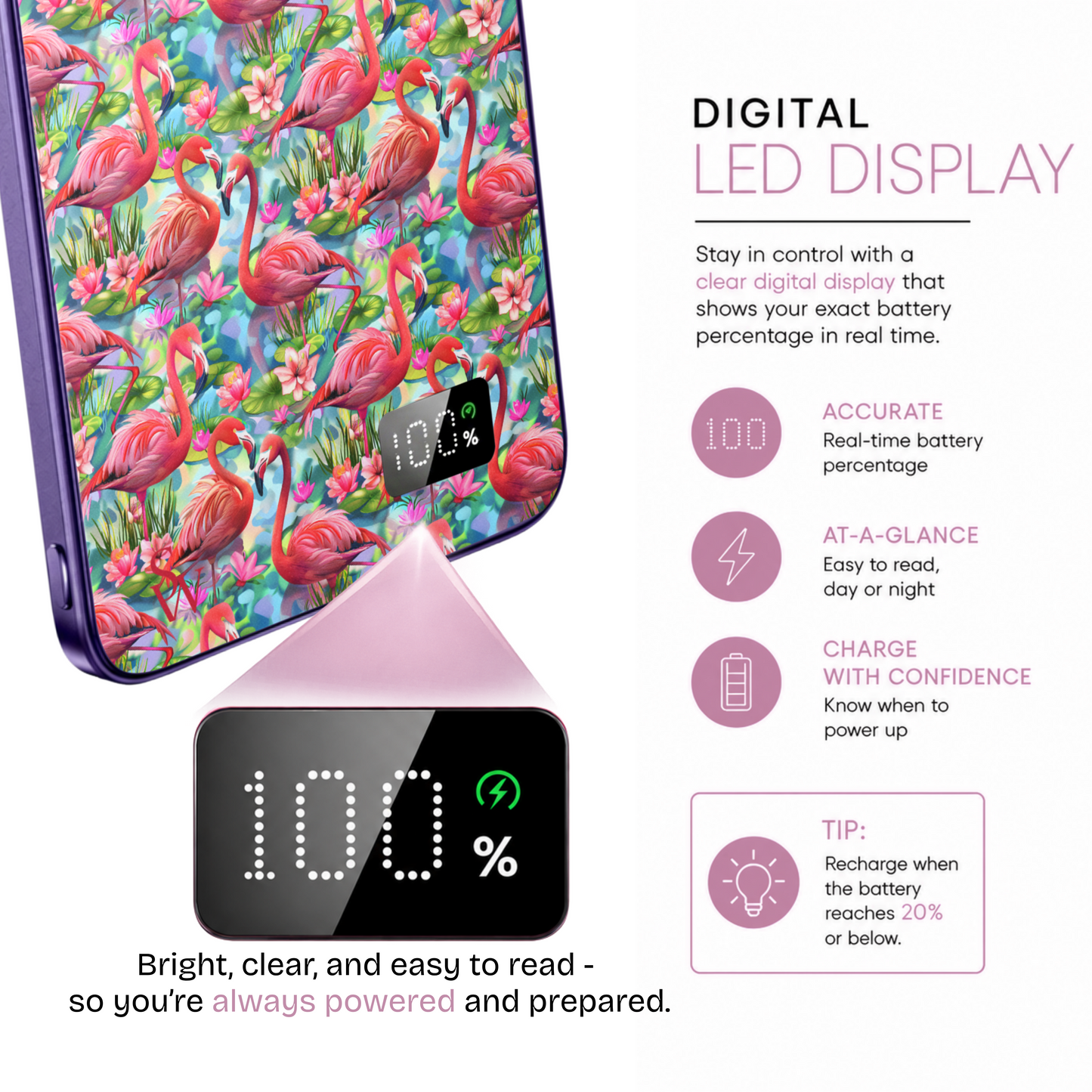 Flamingo Fiesta Power Bank