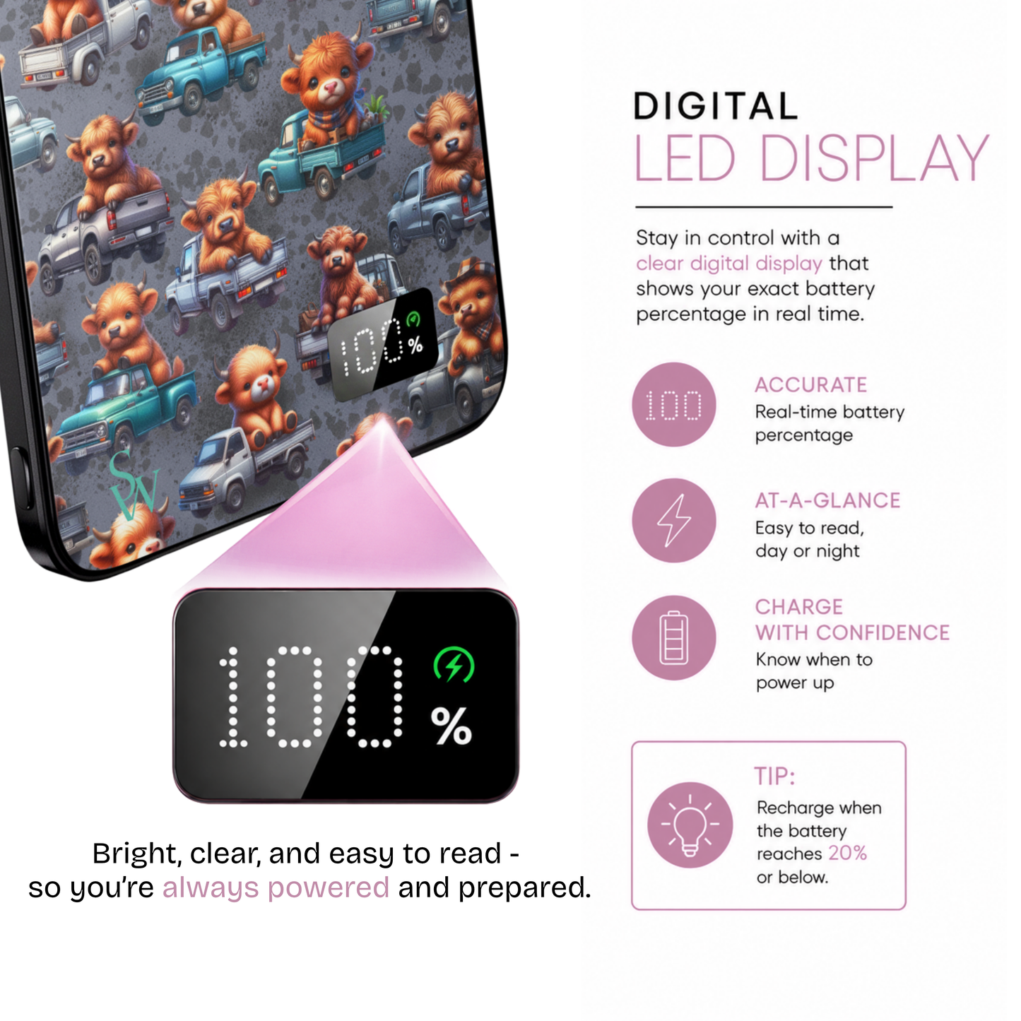 Backroad Babes Power Bank
