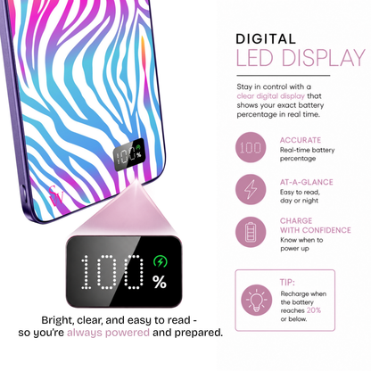 Sunset Safari Power Bank