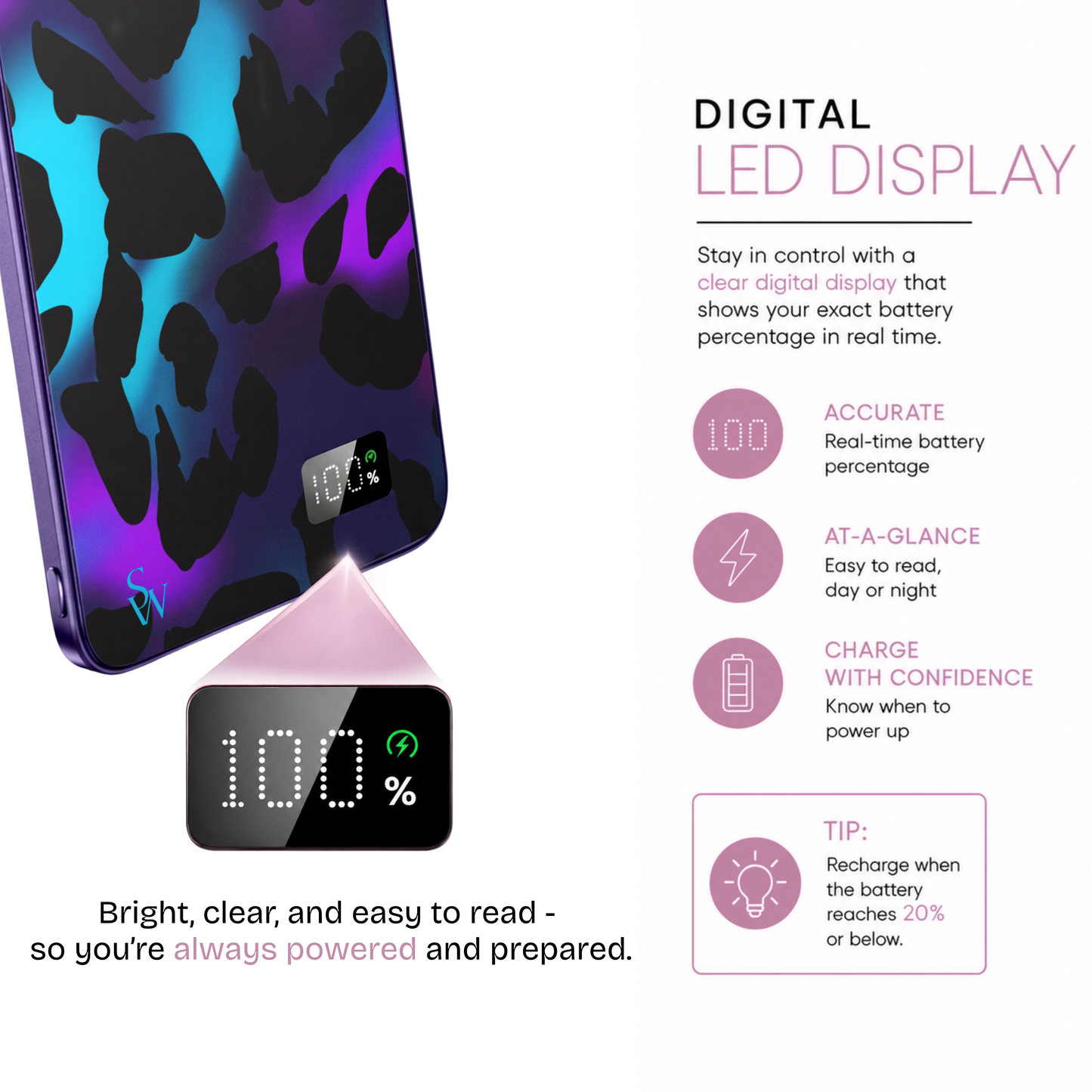 Velvet Vixen Power Bank