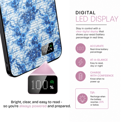 Winter Blues Power Bank