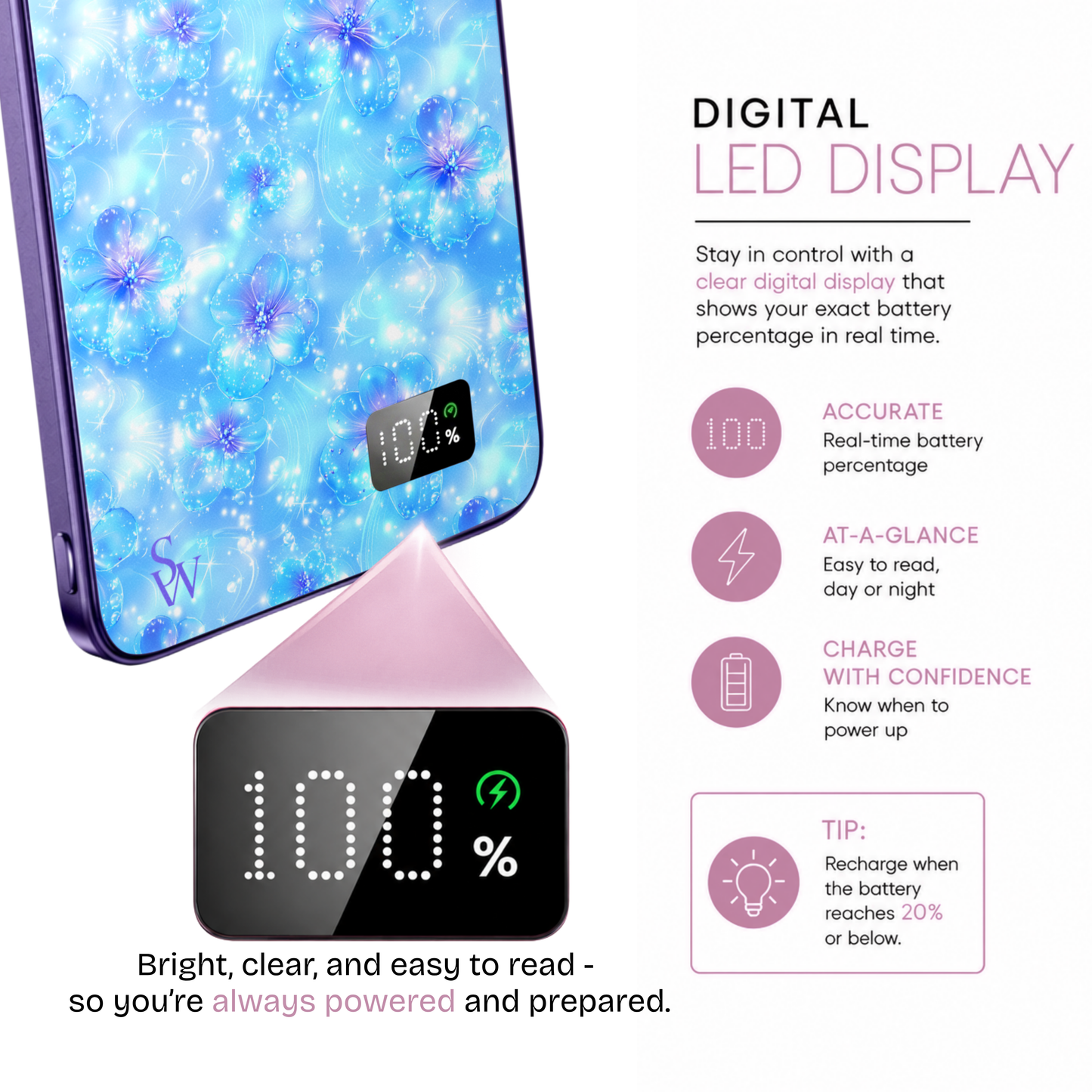 Icy Enchantment Power Bank