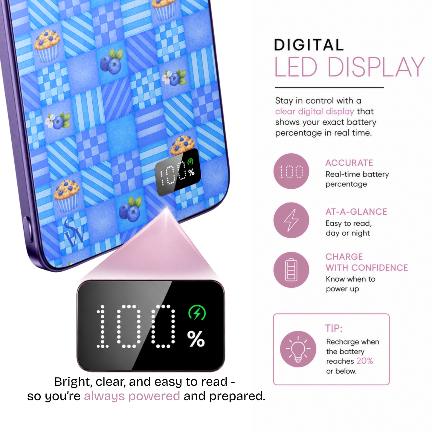 Blueberry Basket Power Bank