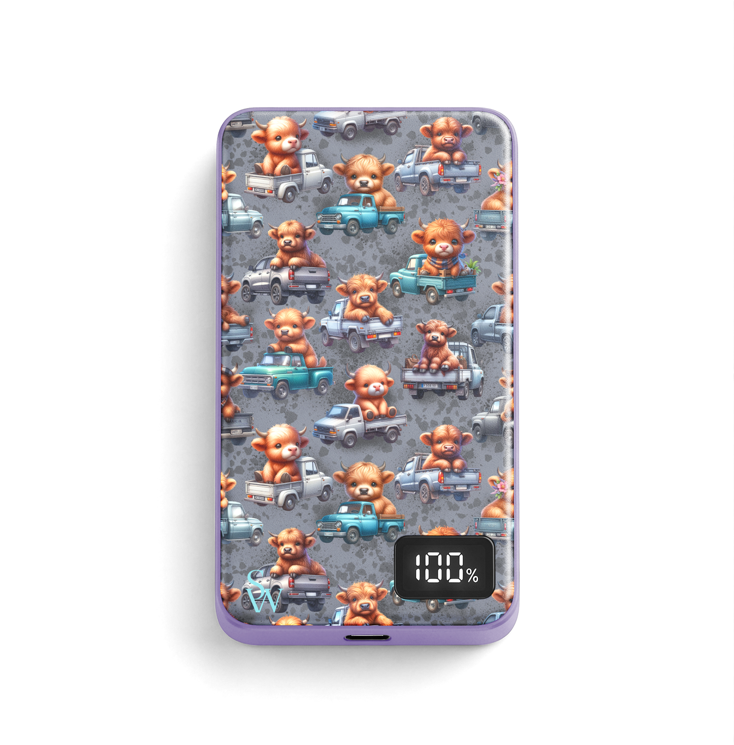 Backroad Babes Power Bank