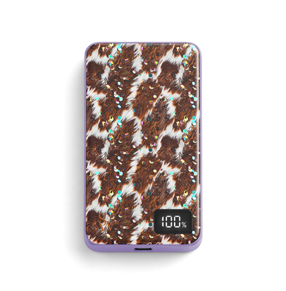 Disco Rodeo Power Bank