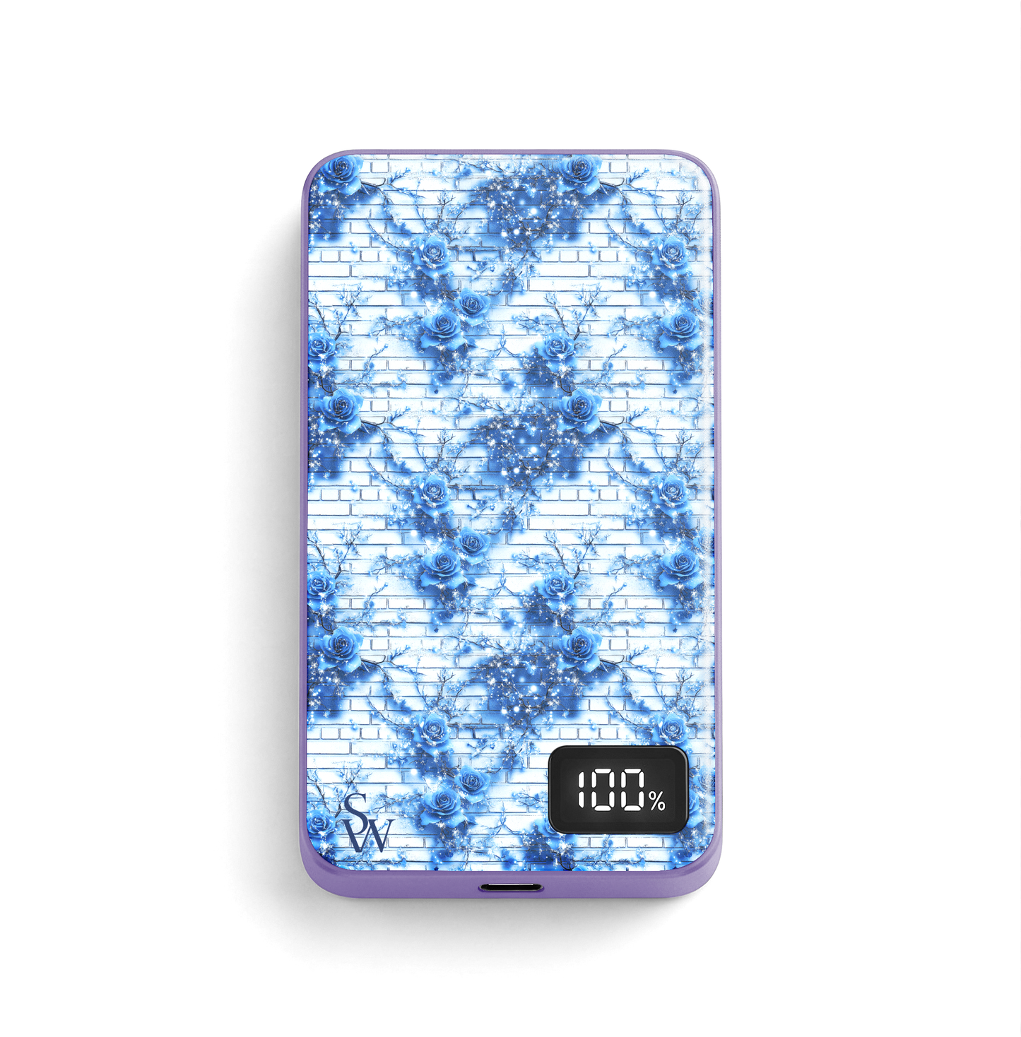 Winter Blues Power Bank
